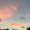 nova_guler